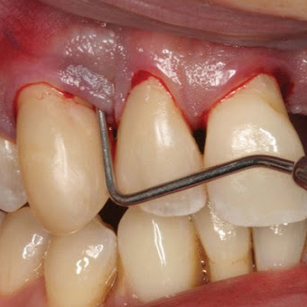 Công ty TNHH Thương mại Diên Niên