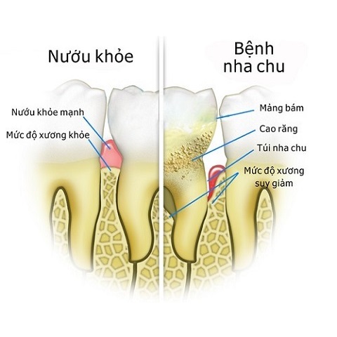 Công ty TNHH Thương mại Diên Niên