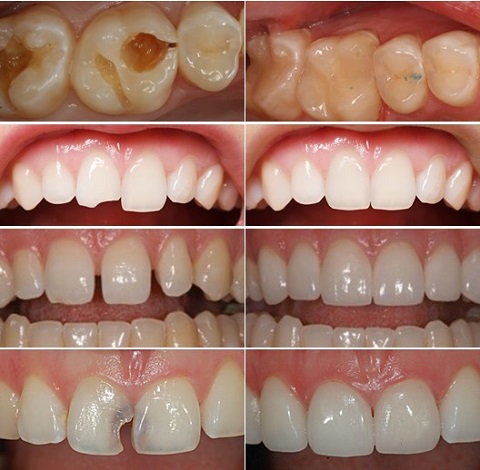 Công ty TNHH Thương mại Diên Niên